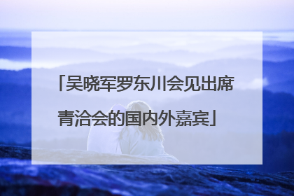 吴晓军罗东川会见出席青洽会的国内外嘉宾