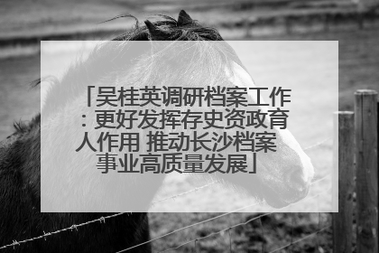 吴桂英调研档案工作：更好发挥存史资政育人作用 推动长沙档案事业高质量发展