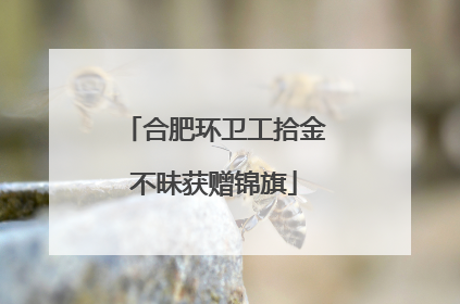 合肥环卫工拾金不昧获赠锦旗