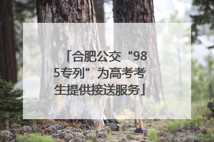 合肥公交“985专列”为高考考生提供接送服务