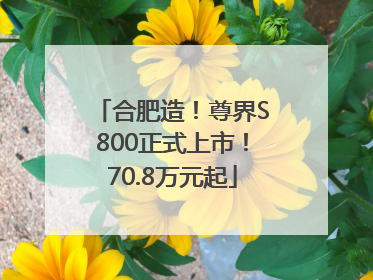 合肥造！尊界S800正式上市！70.8万元起