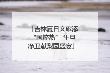 吉林夏日文旅添“国粹热” 生旦净丑献梨园盛宴