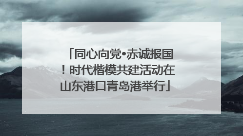 同心向党•赤诚报国！时代楷模共建活动在山东港口青岛港举行