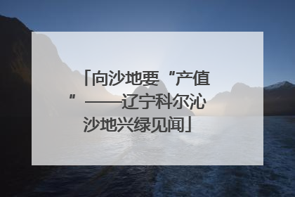 向沙地要“产值”——辽宁科尔沁沙地兴绿见闻