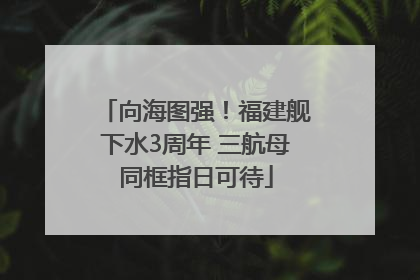 向海图强！福建舰下水3周年 三航母同框指日可待