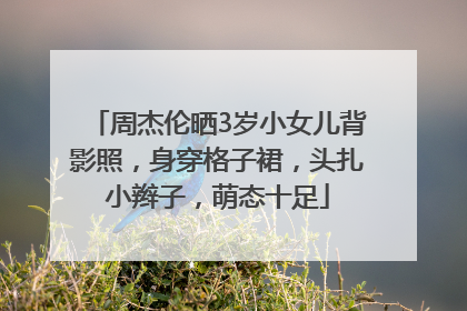 周杰伦晒3岁小女儿背影照，身穿格子裙，头扎小辫子，萌态十足
