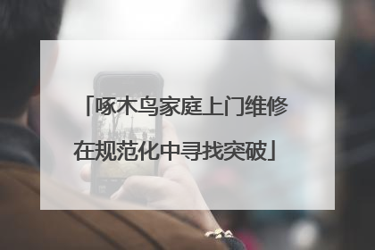 啄木鸟家庭上门维修在规范化中寻找突破