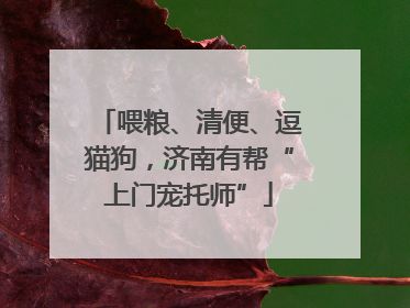 喂粮、清便、逗猫狗，济南有帮“上门宠托师”