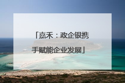 嘉禾：政企银携手赋能企业发展