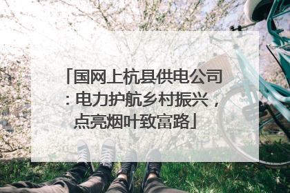 国网上杭县供电公司：电力护航乡村振兴，点亮烟叶致富路