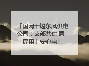 国网十堰东风供电公司：支部共建 居民用上安心电
