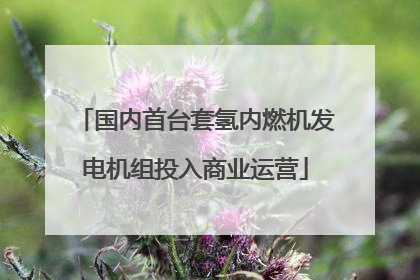 国内首台套氢内燃机发电机组投入商业运营