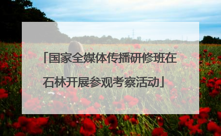 国家全媒体传播研修班在石林开展参观考察活动