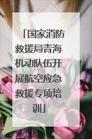 国家消防救援局青海机动队伍开展航空应急救援专项培训