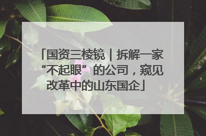 国资三棱镜｜拆解一家“不起眼”的公司，窥见改革中的山东国企