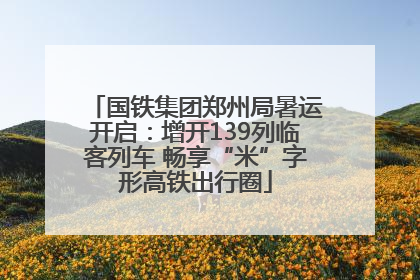 国铁集团郑州局暑运开启：增开139列临客列车 畅享“米”字形高铁出行圈
