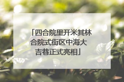 四合院里开米其林 合院式街区中海大吉巷正式亮相