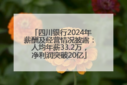 四川银行2024年薪酬及经营情况披露：人均年薪33.2万，净利润突破20亿