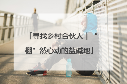 寻找乡村合伙人｜“棚”然心动的盐碱地