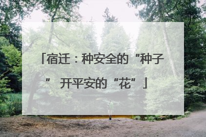 宿迁：种安全的“种子” 开平安的“花”