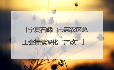 宁夏石嘴山市惠农区总工会持续深化“产改”