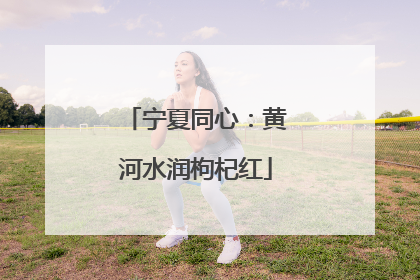 宁夏同心：黄河水润枸杞红