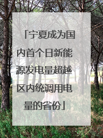 宁夏成为国内首个日新能源发电量超越区内统调用电量的省份