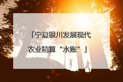 宁夏银川发展现代农业精算“水账”
