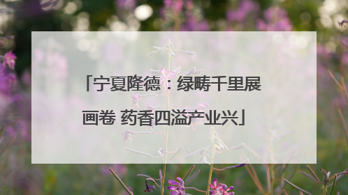 宁夏隆德：绿畴千里展画卷 药香四溢产业兴