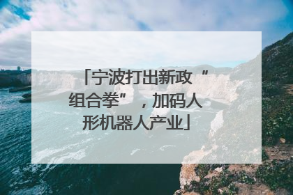 宁波打出新政“组合拳”，加码人形机器人产业