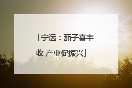 宁远：茄子喜丰收 产业促振兴