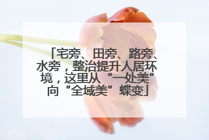 宅旁、田旁、路旁、水旁，整治提升人居环境，这里从“一处美”向“全域美”蝶变