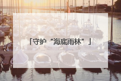 守护“海底雨林”