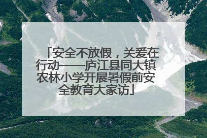 安全不放假，关爱在行动——庐江县同大镇农林小学开展暑假前安全教育大家访