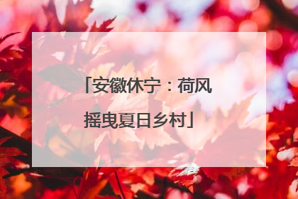 安徽休宁：荷风摇曳夏日乡村