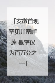 安徽首现罕见并蒂睡莲 概率仅为百万分之一