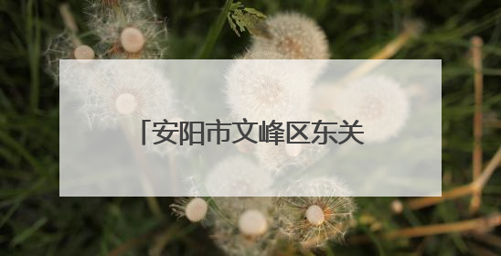 安阳市文峰区东关街道晨峰社区：开展端午节包粽子活动