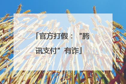 官方打假：“腾讯支付”有诈