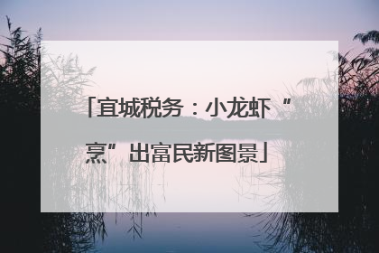 宜城税务：小龙虾“烹”出富民新图景