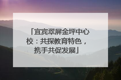 宜宾翠屏金坪中心校：共探教育特色，携手共促发展
