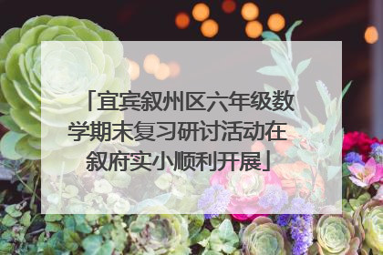 宜宾叙州区六年级数学期末复习研讨活动在叙府实小顺利开展