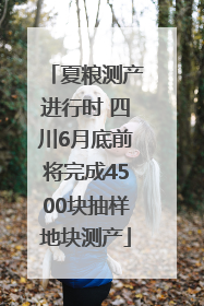 夏粮测产进行时 四川6月底前将完成4500块抽样地块测产