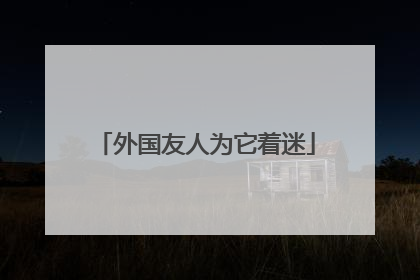 外国友人为它着迷