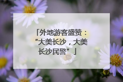 外地游客盛赞：“大美长沙，大美长沙民警”