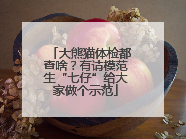 大熊猫体检都查啥？有请模范生“七仔”给大家做个示范