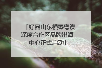 好品山东横琴粤澳深度合作区品牌出海中心正式启动
