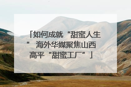 如何成就“甜蜜人生” 海外华媒聚焦山西高平“甜蜜工厂”