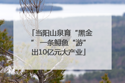 当阳山泉育“黑金” 一条鲟鱼“游”出10亿元大产业