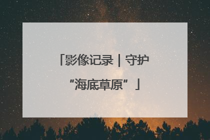 影像记录｜守护“海底草原”