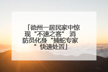 德州一居民家中惊现“不速之客” 消防员化身“捕蛇专家”快速处置